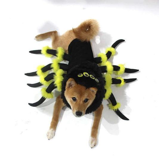 spider transformation costume cosplay dog - linilee