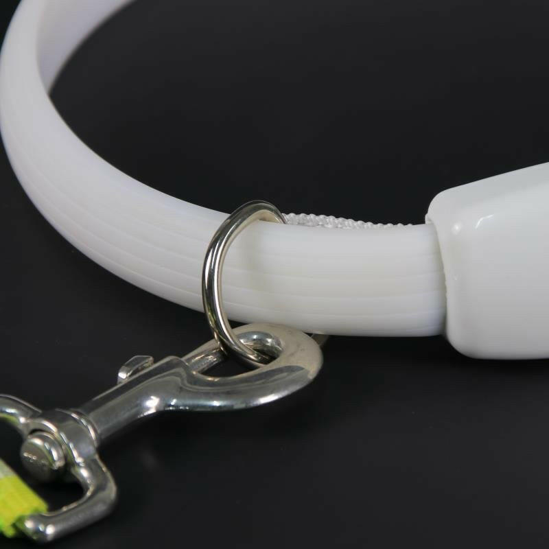 Dog Collar Led Glow Collar Multi-Color. - linilee