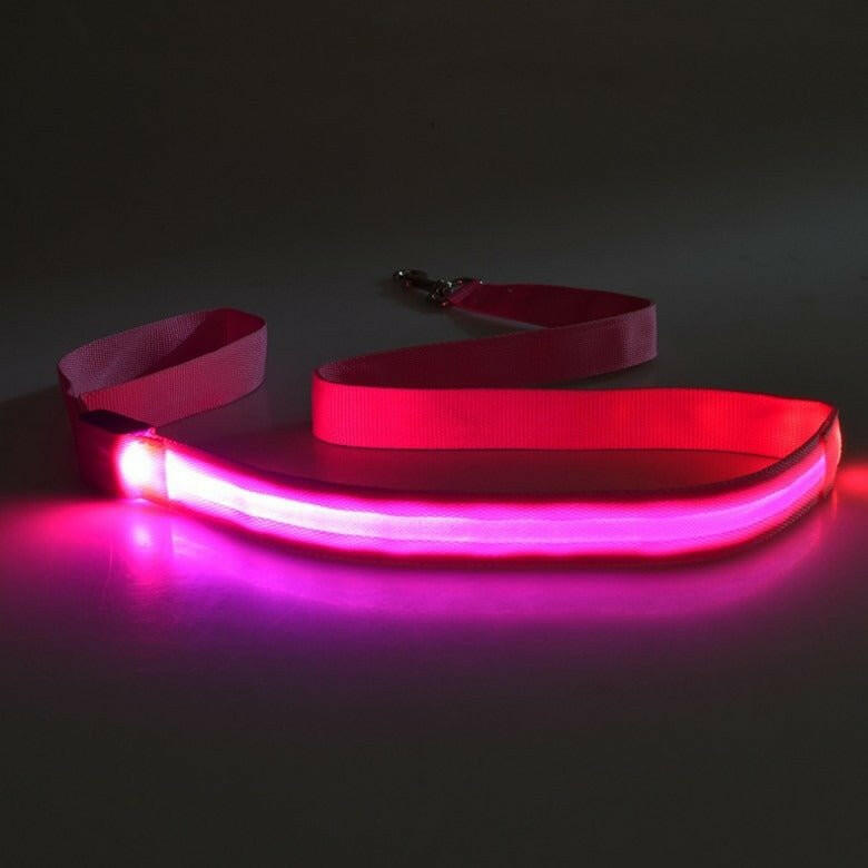 LED Light USB Flashing Light Traction Rope Dog Leash. - linilee