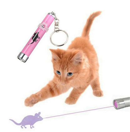 Cat Toys LED Pointer light Pen . - linilee