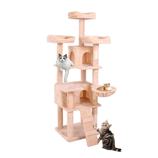 cat climbing wall Frame3 - linilee