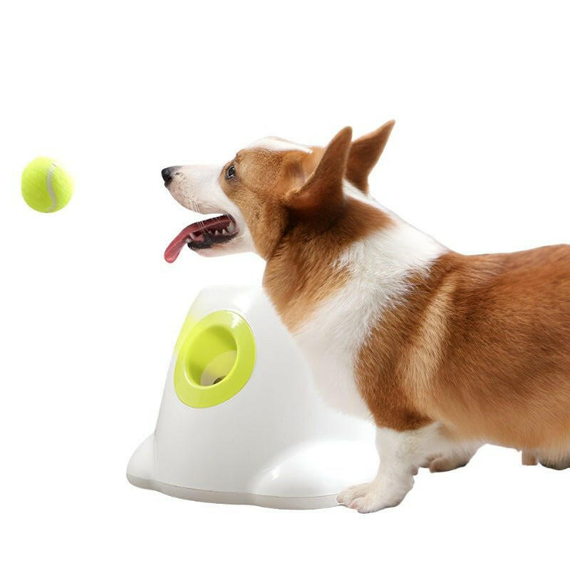 Toys Dog Net Ball Launcher Automatic Throwing Ball Throwing. - linilee