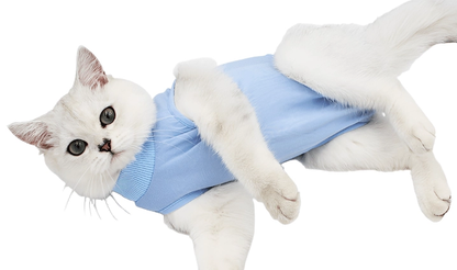 Cat Surgery Recovery onesie for cat after surgery - linilee