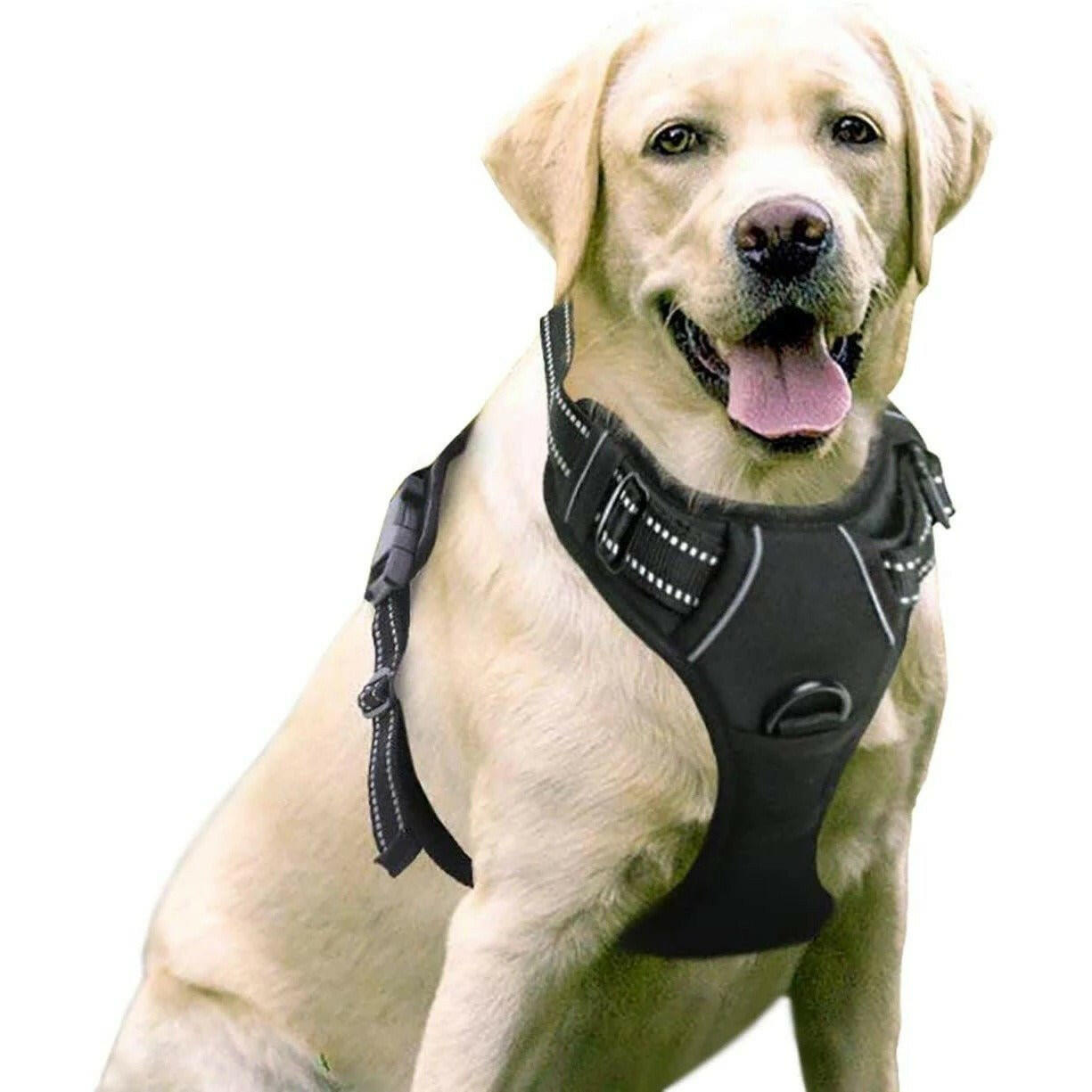 Pet Dog Chest Strap Vest Type. - linilee