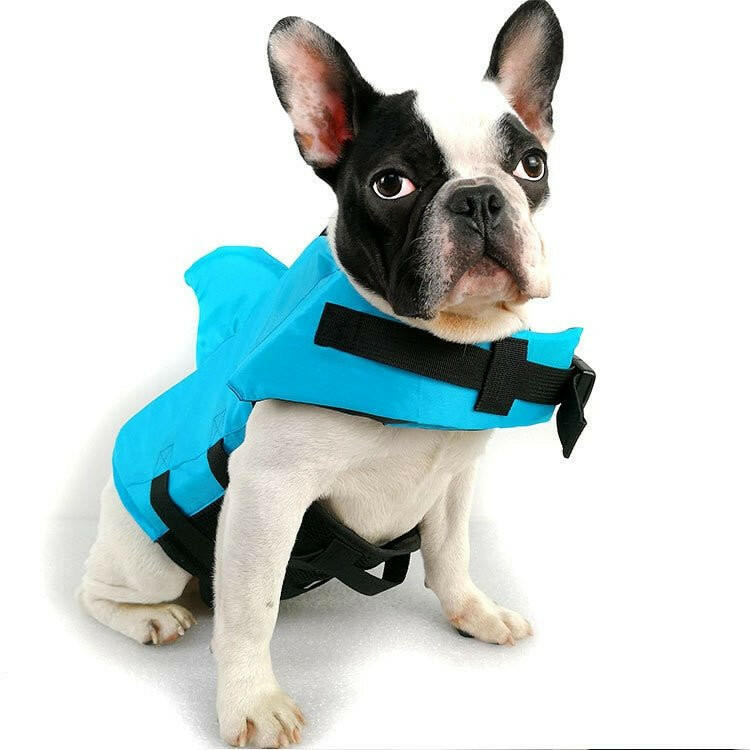 Dogs Swimwear Pets Swimming Suit. - linilee