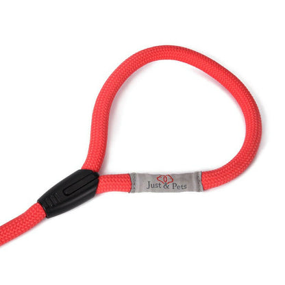 Double-Headed Dog Leash Pulls Two Dogs. - linilee