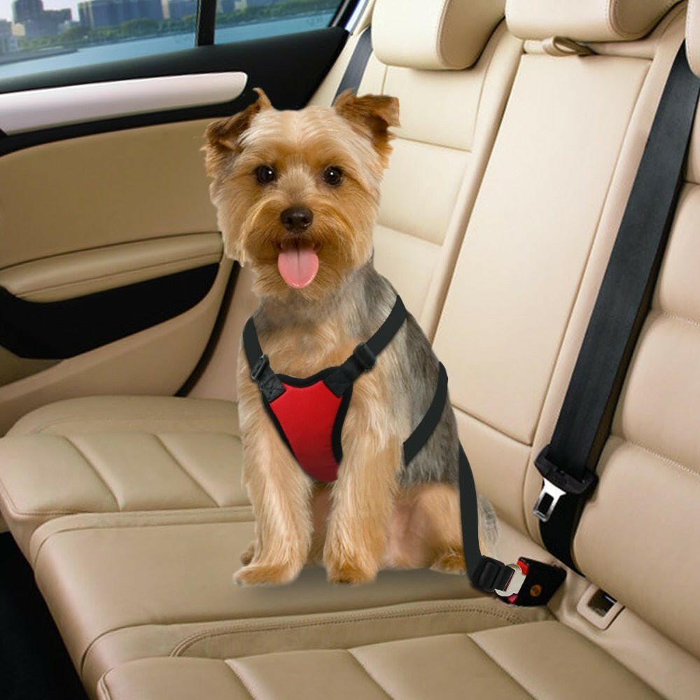 Soft Padded Vest Vehicle Seatbelt Lead Leash. - linilee