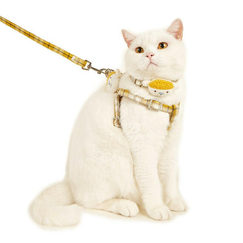 Adjustable cat leash. - linilee