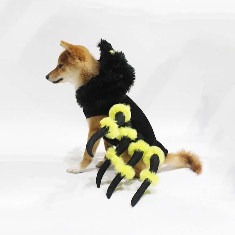 spider transformation costume cosplay dog - linilee