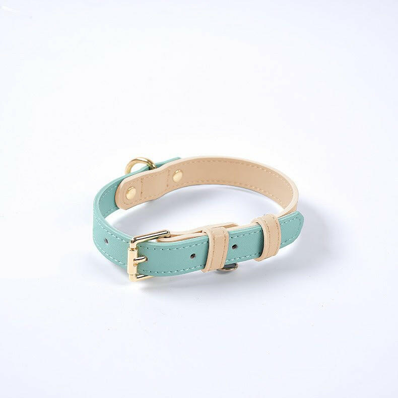 Cat Collar Leash . - linilee