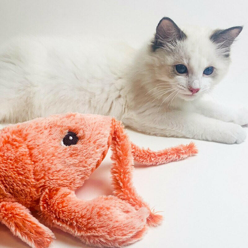 USB Pet Cat Toys. Floppy Lobster Interactive Cat Toy - linilee