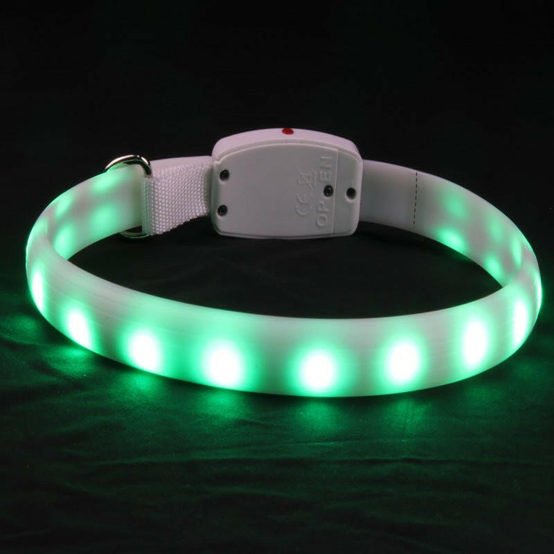 Dog Collar Led Glow Collar Multi-Color. - linilee