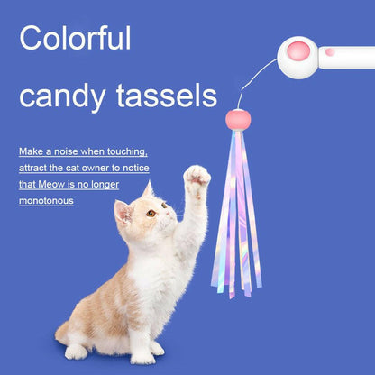 Laser Cat.Cat Toys - linilee