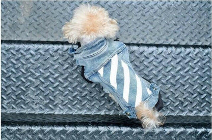 Pet Trend Clothes Dog Clothes. - linilee