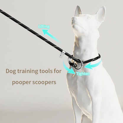 LED Lighting Pet Leash Dog Traction Rope - linilee