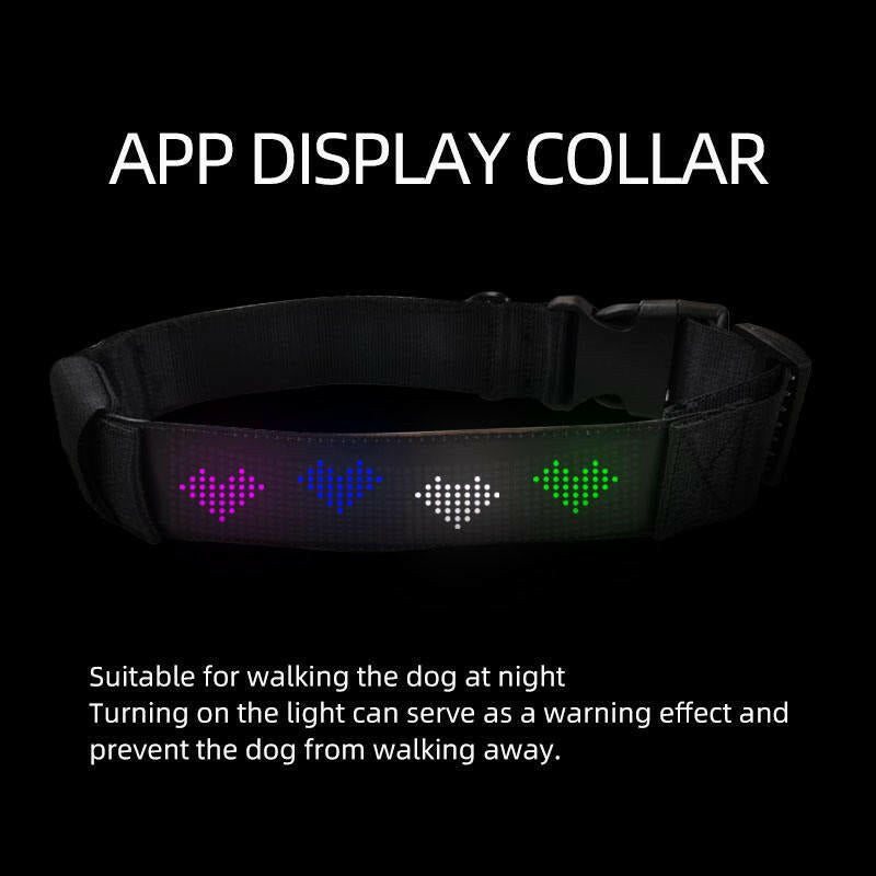 Dog Collar Led Glow Collar Multi-Color - linilee