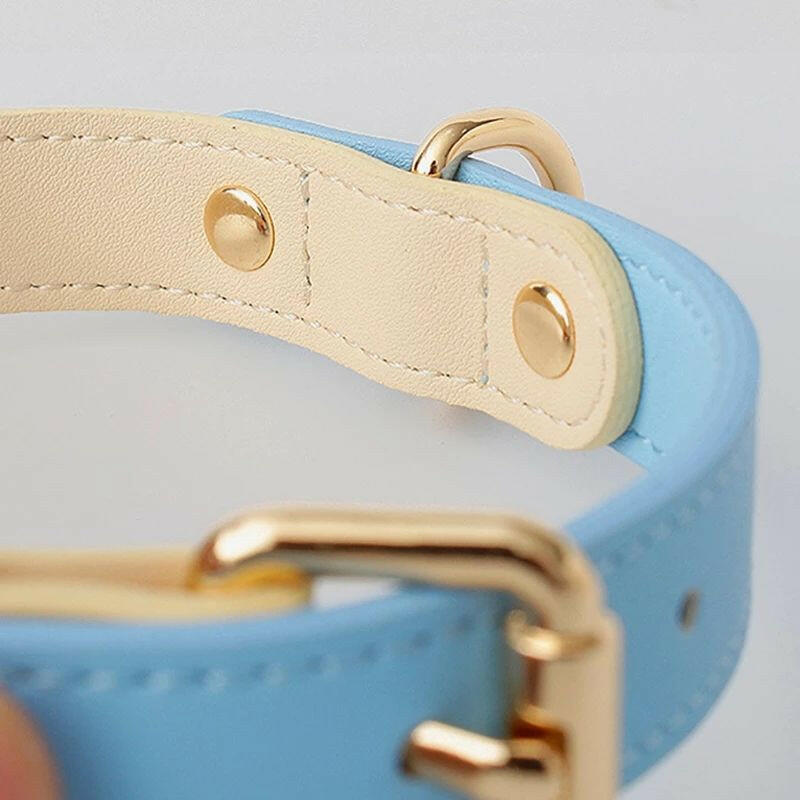 Cat Collar Leash . - linilee