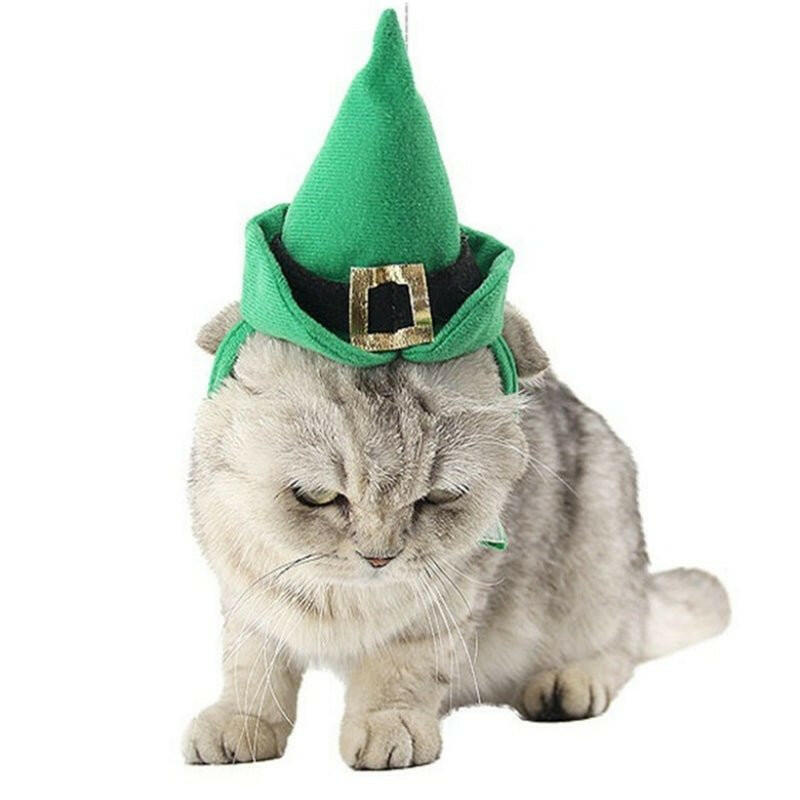 Polyester Pet Cone Hat And Collar Set cat costumes - linilee