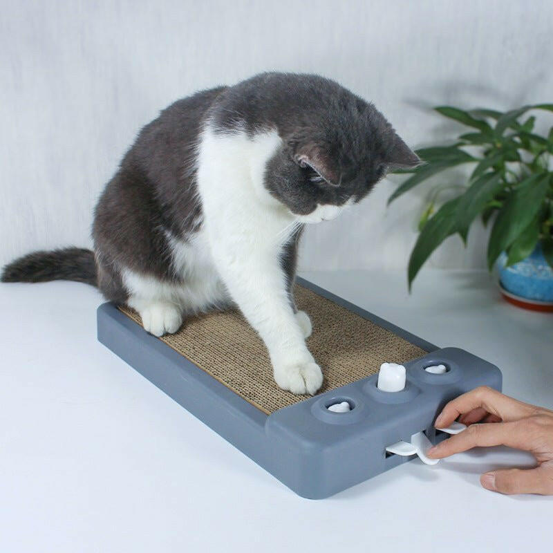 Cat Scratching Board. - linilee