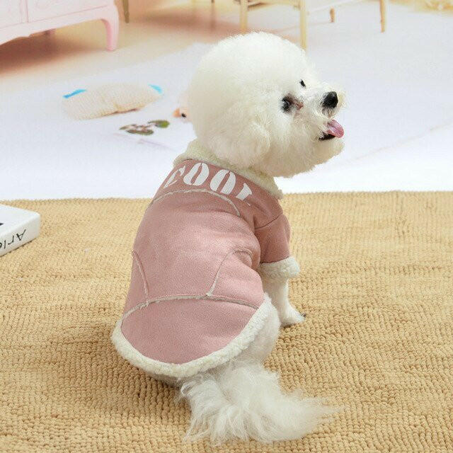 Cute Dog Jacket Winter Warm Dog Clothes - linilee