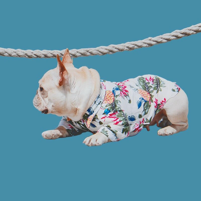 Clothes for Small Dogs French Bulldog dog attire - linilee