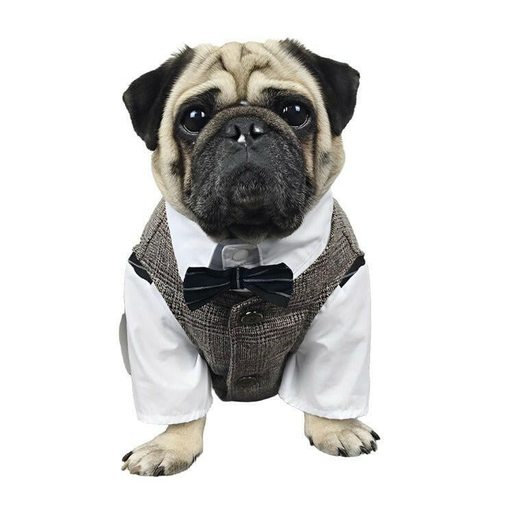 Dog Clothes Wedding Party Suits For Small Dogs. Tuxedo Dog - linilee