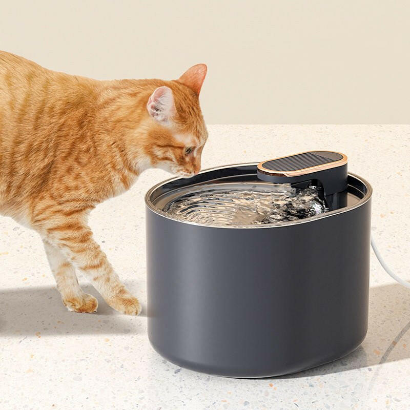 Intelligent Water Dispenser Cat Automatic. - linilee