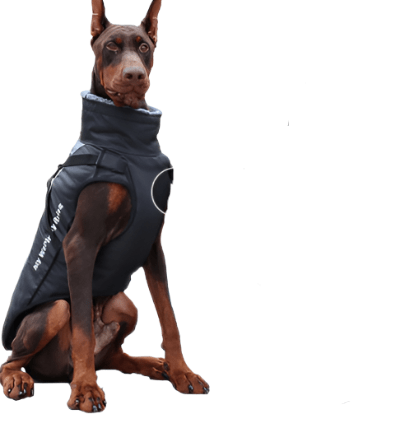 Clothes Warm Reflective. Thickened Dog Jackets - linilee