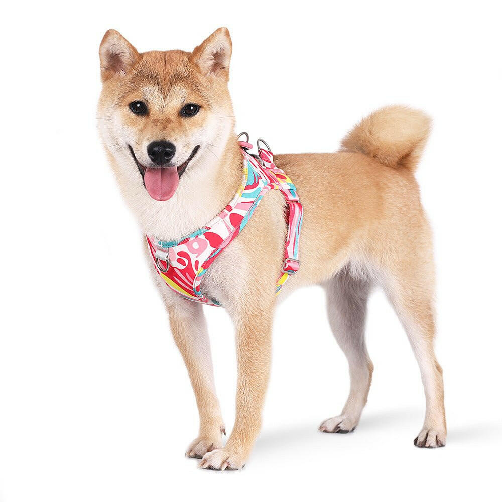 Printed Pet Chest Strap. Dog Leash - linilee