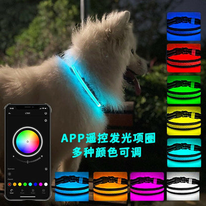 Led Dog Collar. light up dog collar - linilee