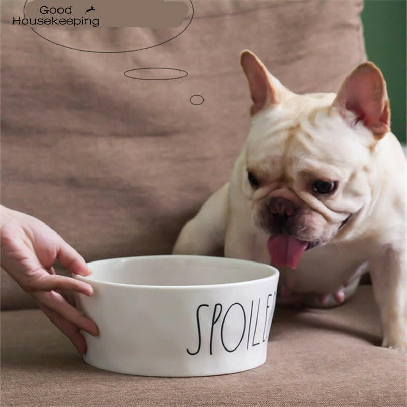 Bowls Pet Food and Water. - linilee