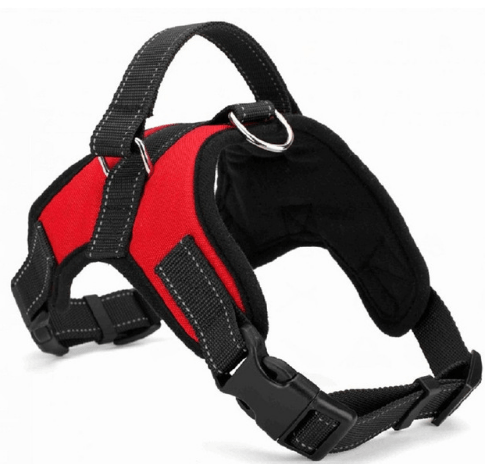 Dog Collar Harness. - linilee