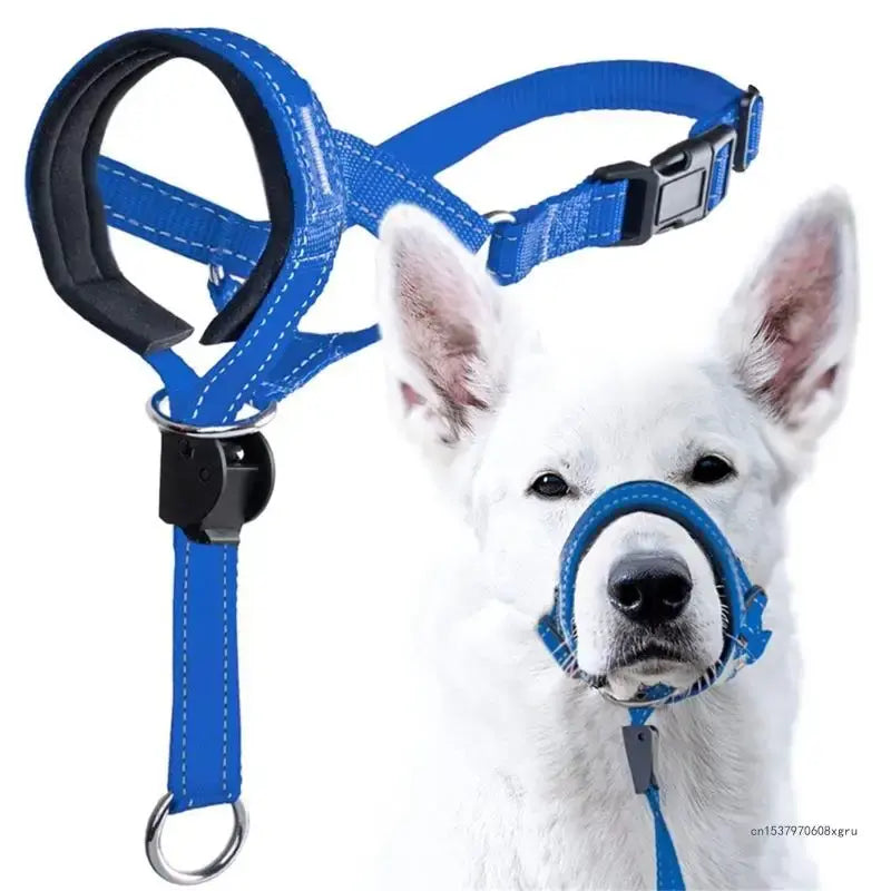 Dog Halter Training Head Collar - linilee