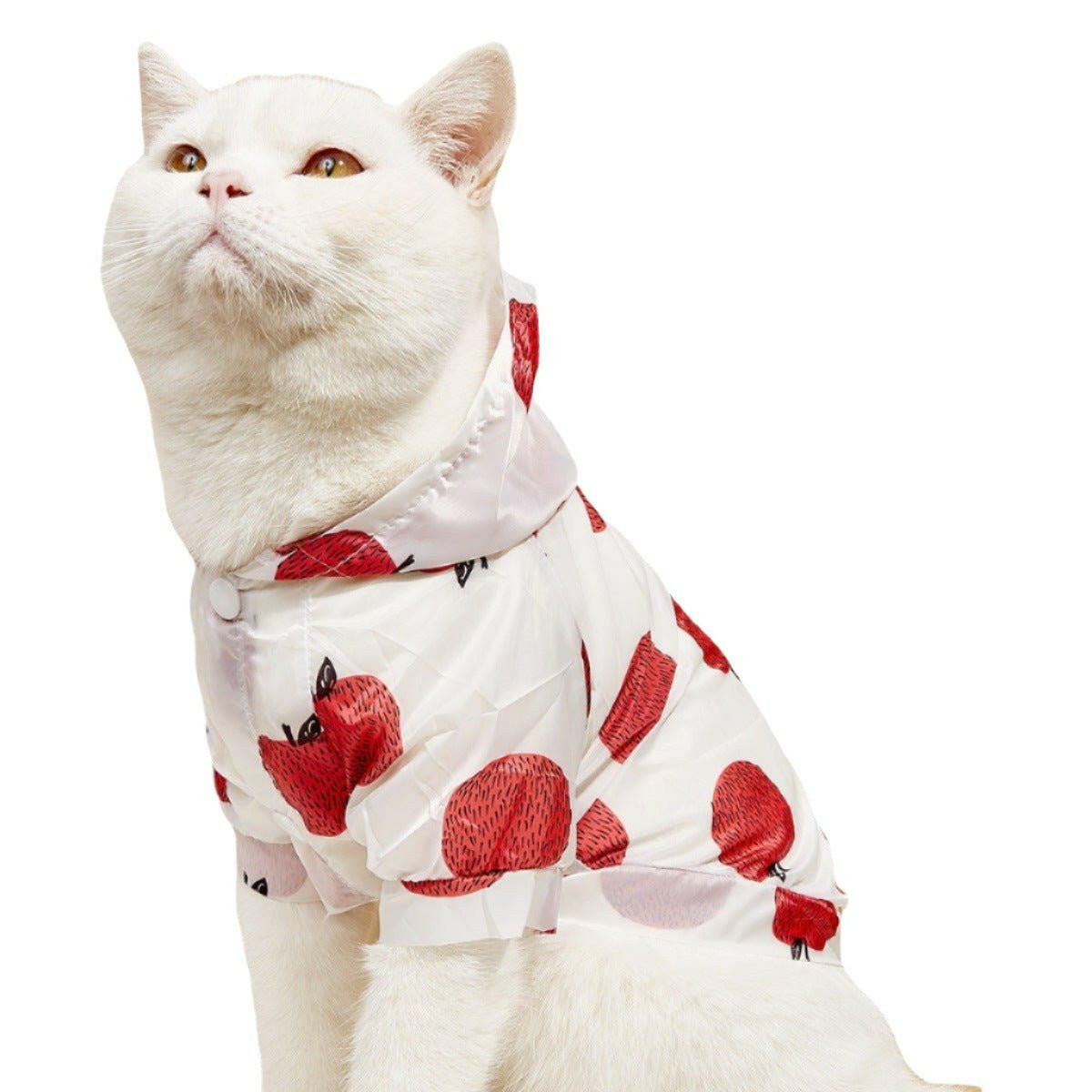 Summer New Pet Cat Supplies Shirt. - linilee