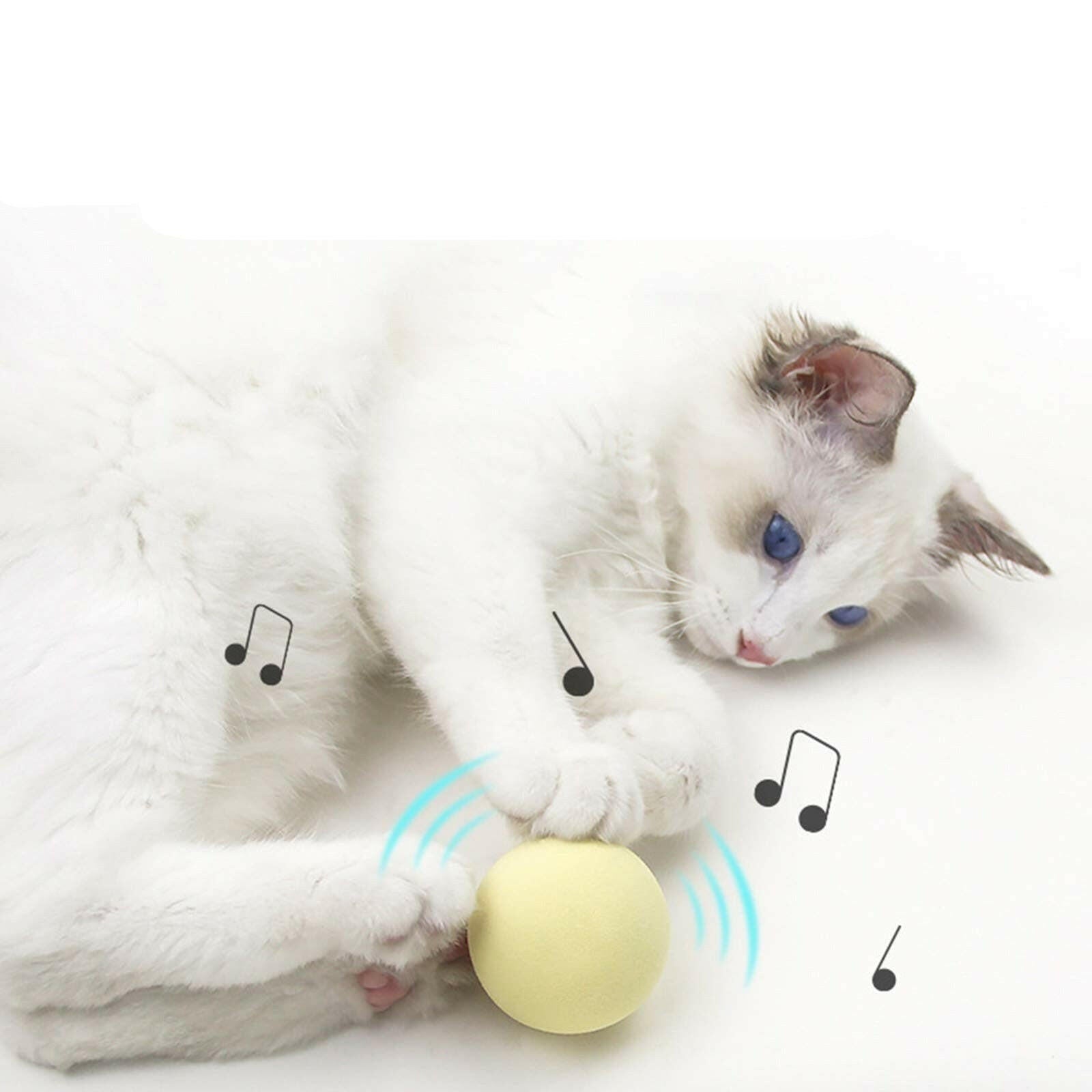 Smart Cat Toys Interactive Ball Catnip Cat Training Toy - linilee