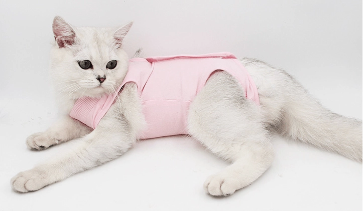 Cat Surgery Recovery onesie for cat after surgery - linilee