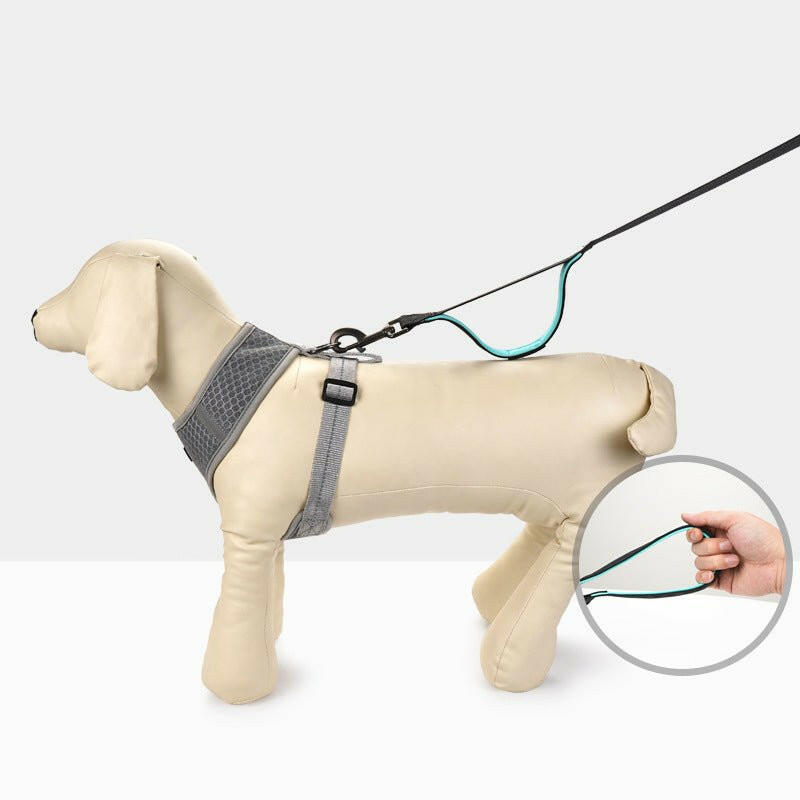 Medium And Large Dog Leash Double Handle. - linilee