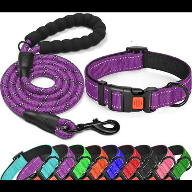 Dog Collar Leash. - linilee