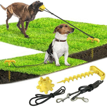 tying dog leash dog toy. - linilee