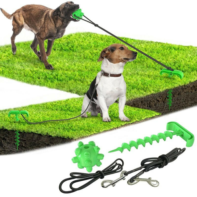 tying dog leash dog toy. - linilee