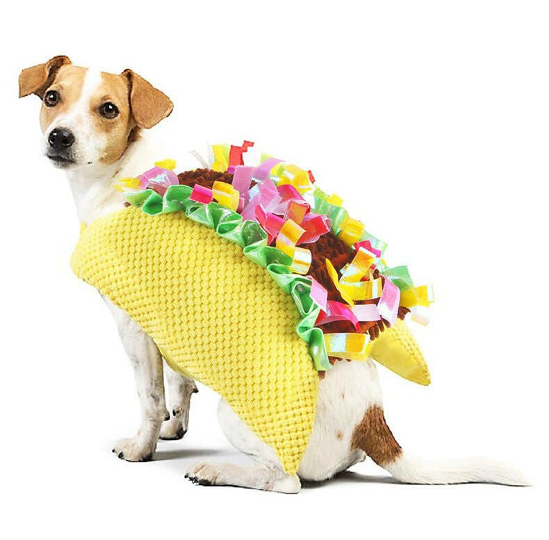 Dog Costumes Halloween Dog Clothes - linilee