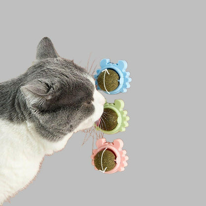 Ball Molar Teeth Cleaning.Cat toy - linilee