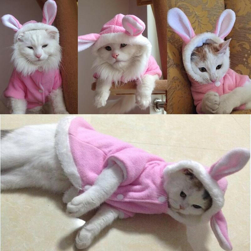 Pet Cat Clothes Mascotas Costume Clothes - linilee