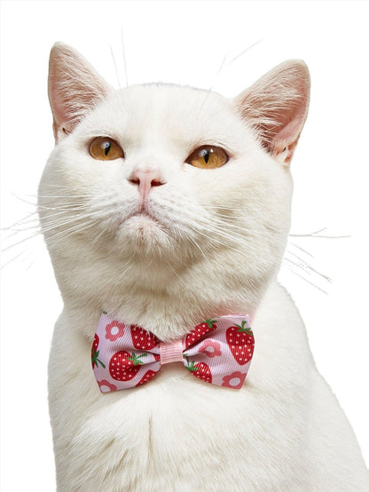 Colorful Bow Tie Cat Clothes - linilee