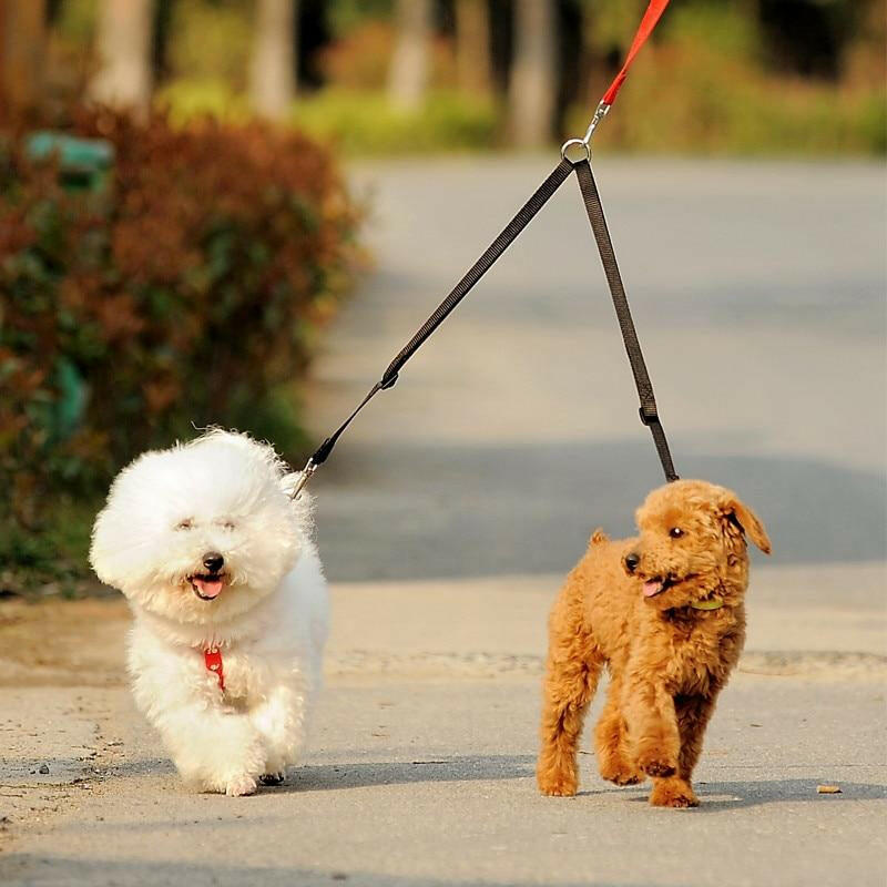 Double Dog Leash - linilee