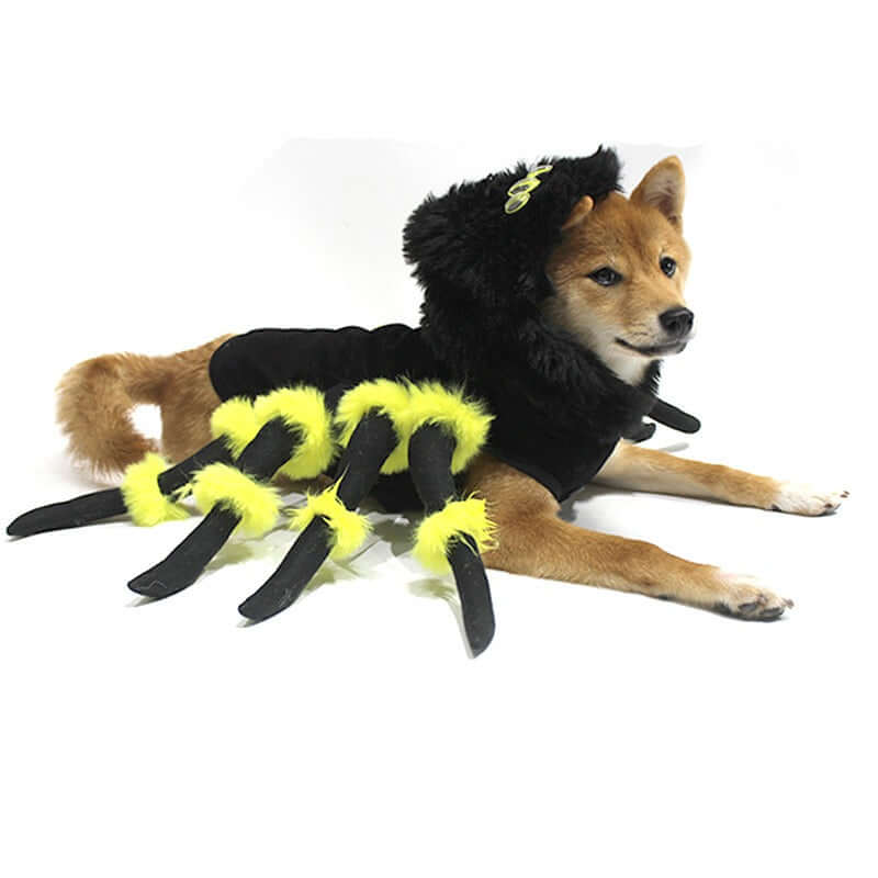 spider transformation costume cosplay dog - linilee