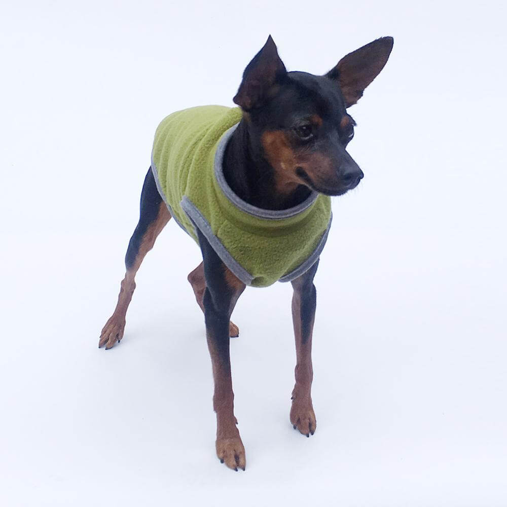 Dog Clothes Winter Warm - linilee