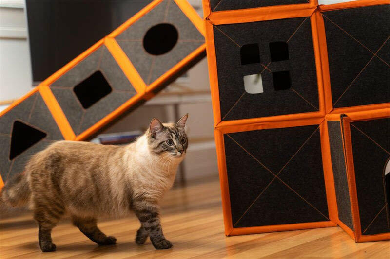 Cardboard Cat House. - linilee