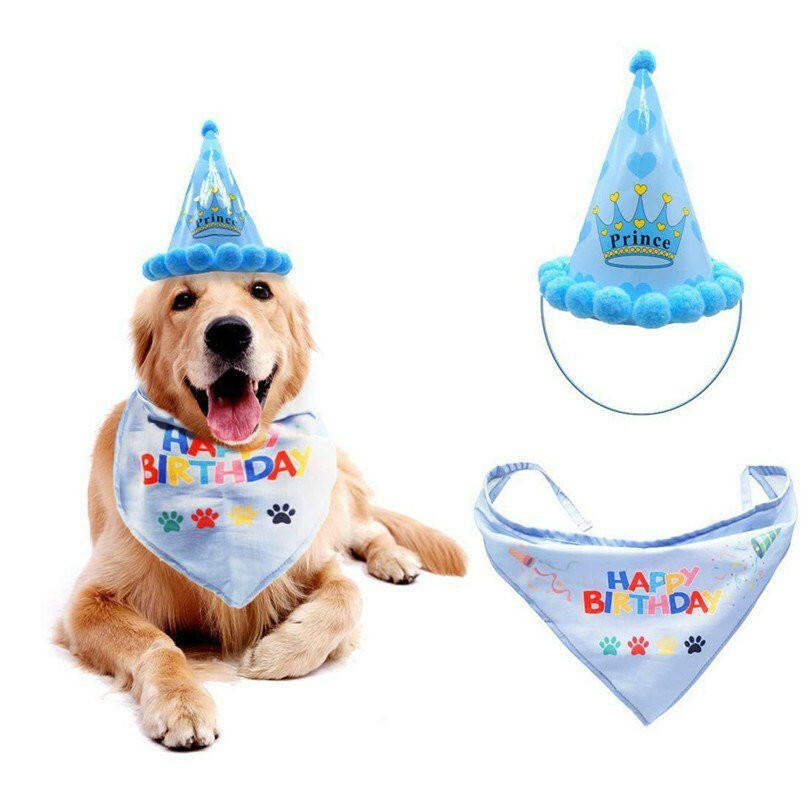 dog birthday decorations Headwear Caps Hat Party. - linilee