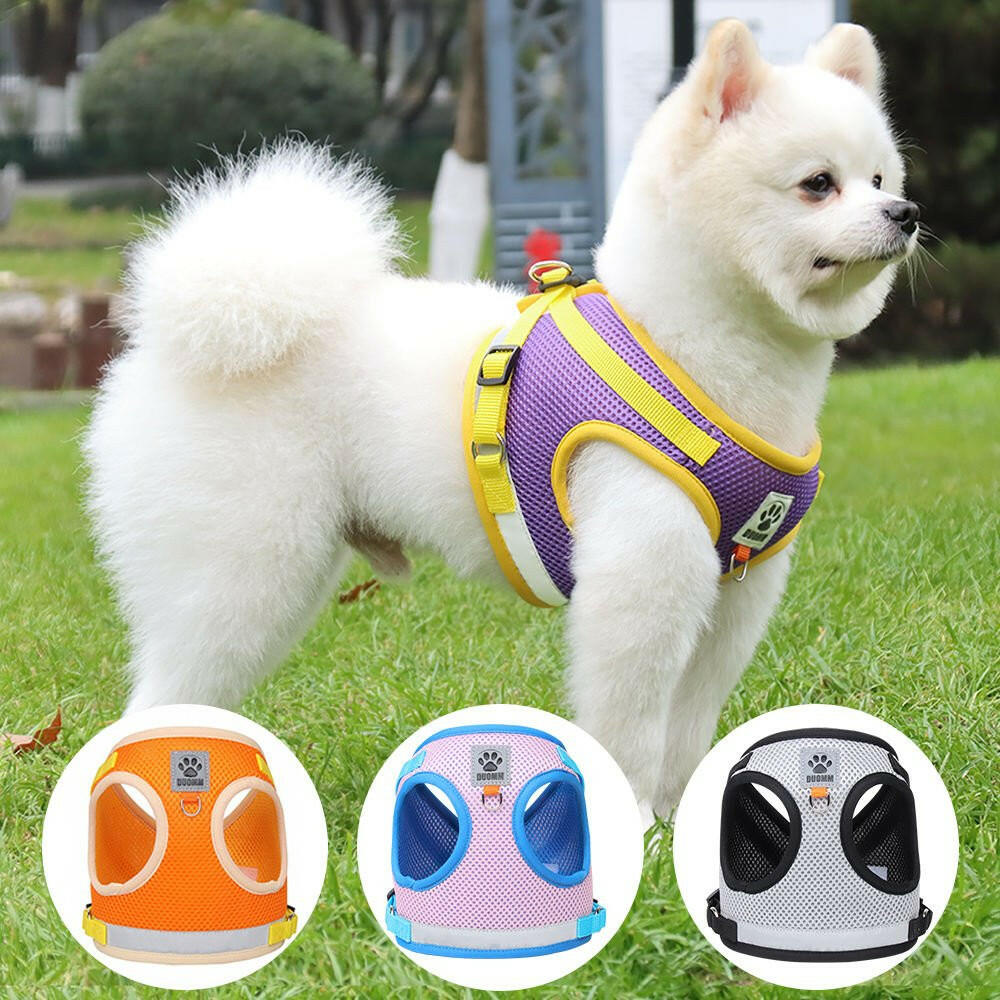 Strap Corduroy Pet Chest Strap Dog Leash. - linilee